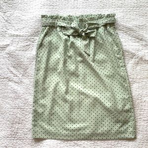 Ann Taylor Skirt